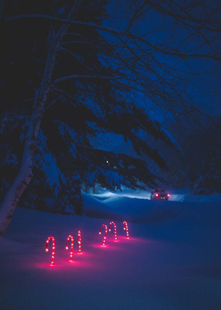 candy cane lighted candy cane and surrounded by snow winter